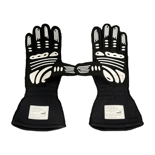2020 Max Verstappen Red Bull F1 Race Gloves